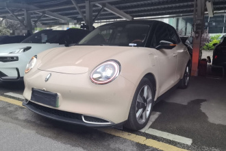 欧拉好猫 2021款 400km标准续航 雅典娜版 磷酸铁锂