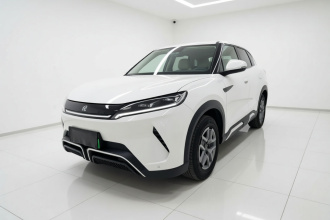 比亚迪 元UP 2024款  401KM 活力版