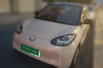 五菱汽车 五菱缤果 2023款 333km 悦享款