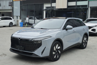 启辰大V DD-i 2023款 110km iE版