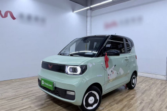 五菱汽车 宏光MINIEV 2021款 马卡龙臻享款 磷酸铁锂