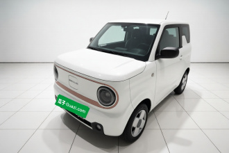 吉利银河 2024款 熊猫mini 200km 耐力熊