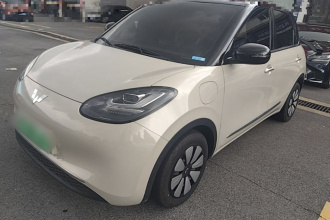 五菱汽车 五菱缤果 2024款 333km 悦享款