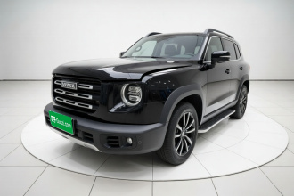哈弗大狗 2022款 1.5T DCT两驱边牧版
