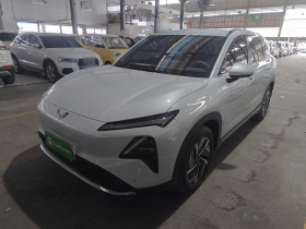 五菱汽车 五菱星光S 2024款 510km 领航型