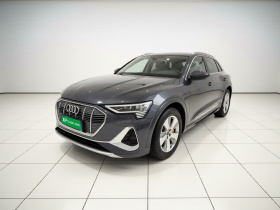 奥迪e-tron 2021款 50 quattro 豪华型