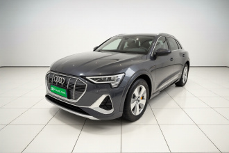 奥迪e-tron 2021款 50 quattro 豪华型