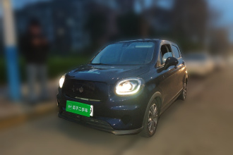 零跑汽车 零跑T03 2020款 400豪华版