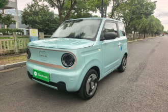 吉利银河 2023款 熊猫mini 200km 灵动熊