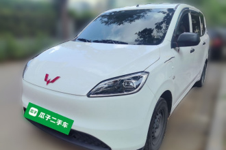 五菱汽车 五菱宏光新能源 2024款 纯电版 300KM 实用型