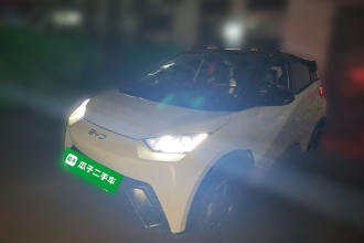 比亚迪 海鸥 2024款 荣耀版 405km 飞翔版