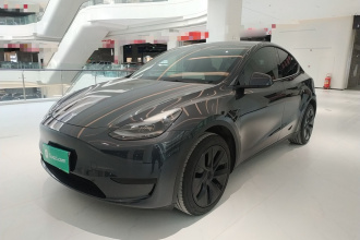 特斯拉 Model Y 2024款 后轮驱动版