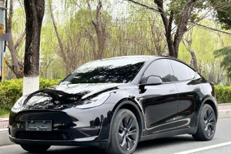 特斯拉 Model Y 2023款 长续航全轮驱动版