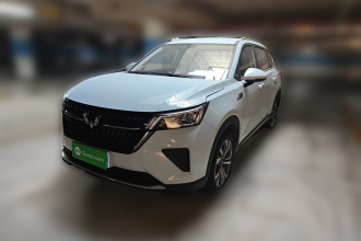 五菱汽车 五菱星辰 2022款 2.0L DHT电劲款