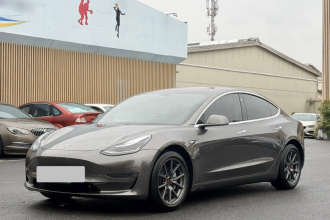 特斯拉 Model 3(进口) 2019款 长续航后驱版
