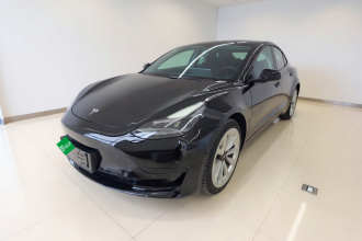 特斯拉 Model 3 2021款 标准续航后驱升级版
