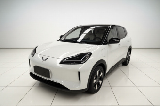 五菱汽车 五菱缤果PLUS 2024款 510km 五座版