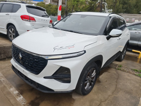 宝骏RS-3 2020款 1.5L CVT  24小时在线豪华型