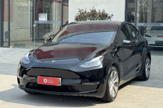 特斯拉 Model Y 2021款 标准续航后驱版
