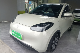五菱汽车 五菱缤果 2024款 333km 悦享款