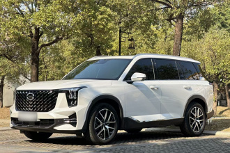 广汽传祺 传祺GS8 2022款 领航系列 2.0TGDI 四驱豪华智联版（七座）