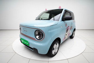 吉利银河 2024款 熊猫mini 200km 耐力熊