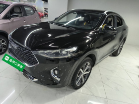 哈弗F7x 2019款 1.5T 两驱极智潮玩版