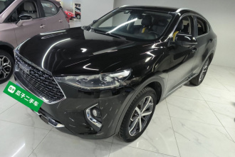 哈弗F7x 2019款 1.5T 两驱极智潮玩版