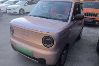 吉利汽车 2024款 熊猫mini 200km 耐力熊