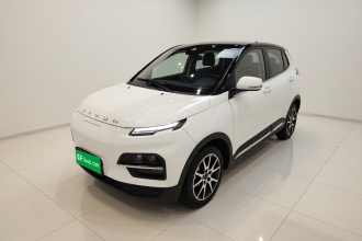 大运 悦虎 2021款 32.85kWh 两驱精灵版