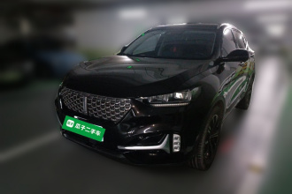 魏牌 VV6 2021款 2.0T 两驱智享+