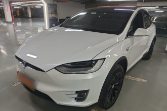 特斯拉 Model X 2019款 长续航版