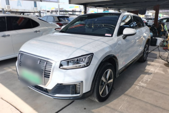 奥迪Q2L e-tron 2019款 Q2L e-tron 纯电智享型