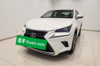 雷克萨斯NX 2020款 200 前驱 锋行版 国VI