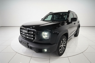 哈弗大狗 2021款 2.0T DCT两驱中华猎犬版