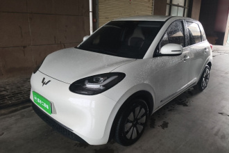 五菱汽车 五菱缤果 2023款 203km 舒享款