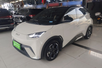 比亚迪 海鸥 2024款 荣耀版 305km 自由版