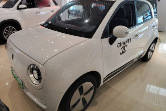 欧拉黑猫 2021款 301km 基础型