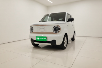 吉利银河 2024款 熊猫mini 200km 耐力熊