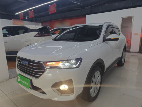 哈弗H4 2018款 蓝标 1.5GDIT DCT风尚型