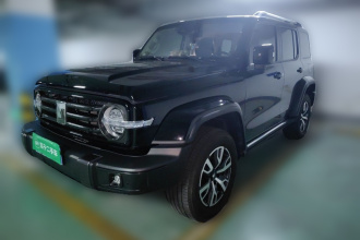 坦克300 2021款 城市版 2.0T 很有型