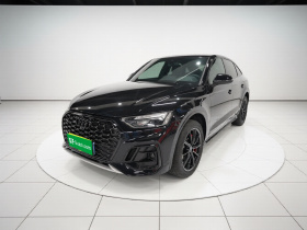 奥迪Q5L Sportback 2024款 40 TFSI 豪华型