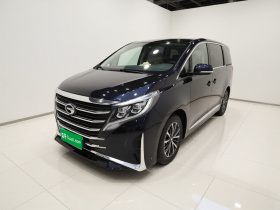 广汽传祺 传祺M8 2021款 领秀系列 390T 尊享版