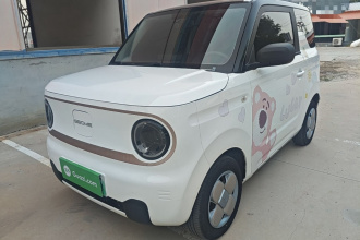 吉利银河 2023款 熊猫mini 200km 耐力熊