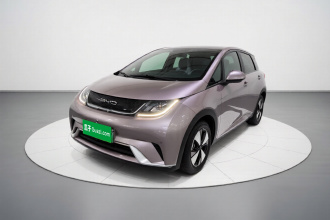 比亚迪 海豚 2023款 420km 时尚版