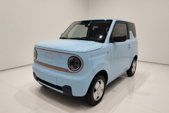 吉利银河 2023款 熊猫mini 200km 耐力熊