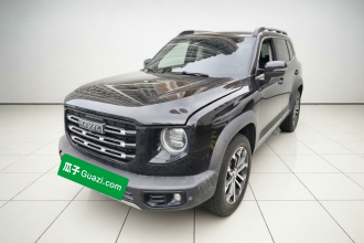 哈弗大狗 2021款 1.5T DCT两驱边牧版