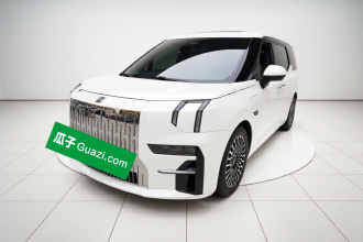 极氪009 2022款 WE版