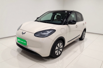五菱汽车 五菱缤果 2024款 333km 悦享款