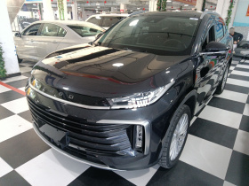 星途凌云 2021款 290T 两驱星耀版